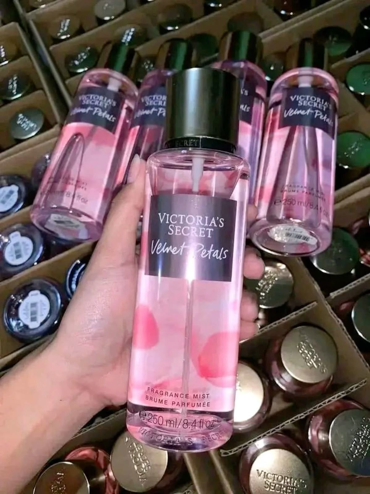 Body Lotions Pallet - Image 4